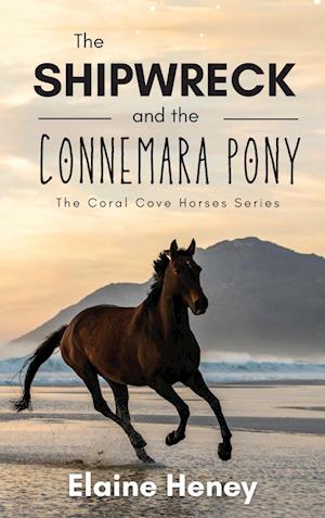 The Shipwreck and the Connemara Pony - The Coral Cove Horses Series