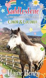 Saddlestone Connemara Pony Listening School | Conor and Coconut 