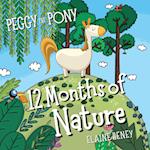 Peggy the Pony 12 Months of Nature