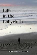 Life in the Labyrinth 