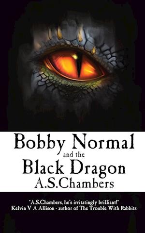 Bobby Normal and the Black Dragon