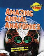 Amazing Animal Anatomies