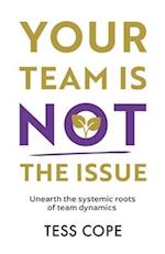 YOUR TEAM IS NOT THE ISSUE : Unearth the Systemic Roots of Team Dynamics 