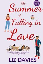 The Summer of Falling in Love 