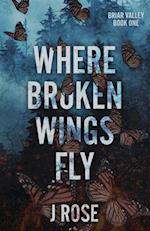 Where Broken Wings Fly 