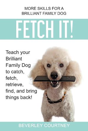 Fetch It!