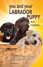 You and Your Labrador Puppy in a Nutshell