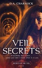 Veil of Secrets 
