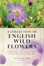 A Collection of English Wild Flowers 