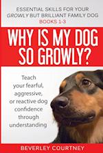 Essential Skills for your Growly but Brilliant Family Dog