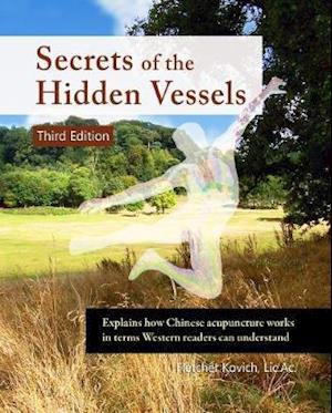 Secrets of the Hidden Vessels : Explains how Chinese acupuncture works in terms Western readers can understand