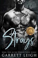 Strays: Angsty Gay Romance 