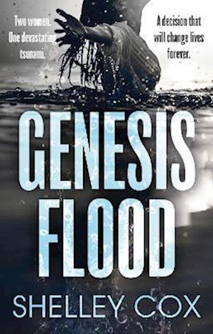 Genesis Flood