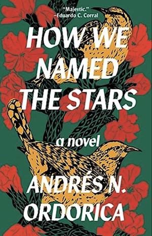 How We Named the Stars : One of the Observer's 2024 Top Ten Debuts