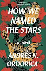 How We Named the Stars : One of the Observer's 2024 Top Ten Debuts