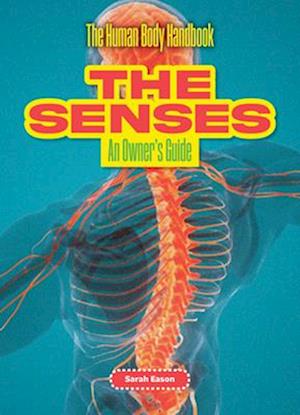 The Senses