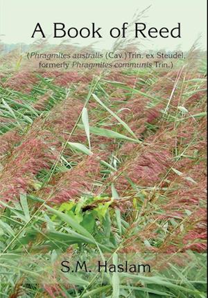 A BOOK OF REED (Phragmites australis (Cav.) Trin. ex Steudel, formerly Phragmites communis Trin.)