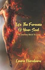 Life:The Furnace Of Your Soul: The Journey Back To Love 