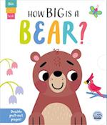 How Big Is a Bear?