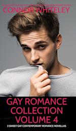 Gay Romance Collection Volume 4