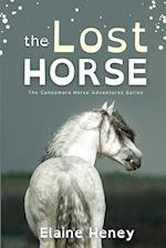 The Lost Horse - Dyslexia Friendly