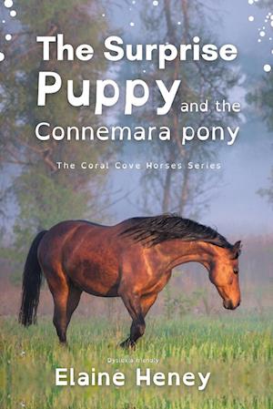 The Surprise Puppy and the Connemara Pony - Dyslexia Friendly