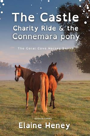 The Castle Charity Ride and the Connemara Pony - Dyslexia Friendly