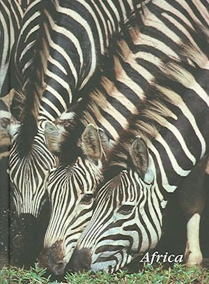 Zebra Journal