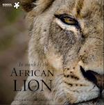 In Search of the African Lion