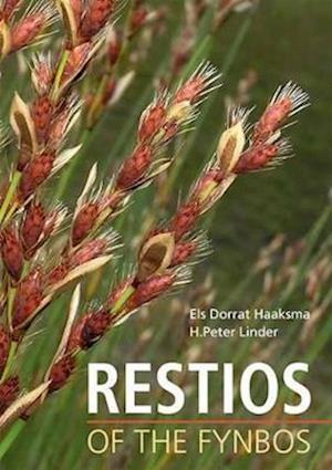 Restios of the fynbos