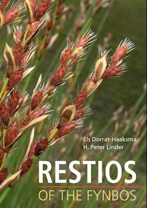 Restios of the Fynbos