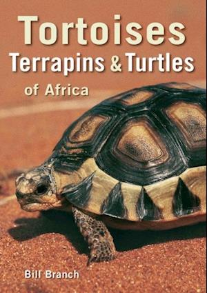 Tortoises, Terrapins & Turtles of Africa