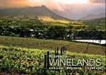 Picturesque Winelands