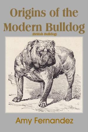 Origins of the Modern Bulldog (British Bulldog)
