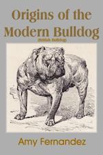 Origins of the Modern Bulldog (British Bulldog)