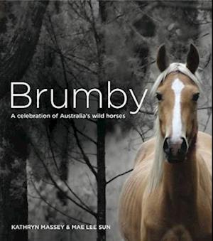 Brumby