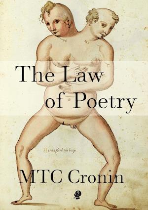 The Law of Poetry