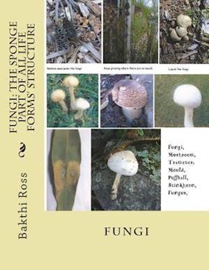 Fungi