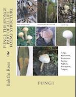 Fungi