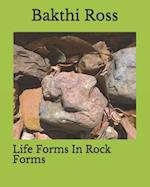 Life Forms In Rock Forms