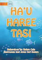I See The Sea (Tetun edition) - Ha'u haree tasi 