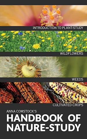 The Handbook Of Nature Study in Color - Wildflowers, Weeds & Cultivated Crops