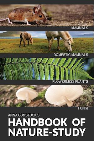The Handbook Of Nature Study in Color - Mammals and Flowerless Plants