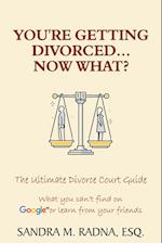 You're Getting Divorced...Now What?