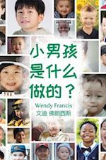 What are little boys made of? (Chinese Language Edition)