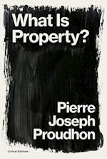 What is Property?: Property is Theft! 