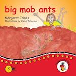 big mob ants 