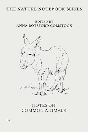 Notes on Common Animals