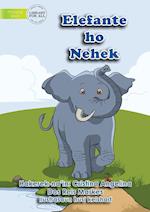 The Elephant And The Ant - Elefante ho Nehek