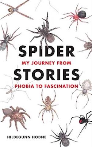 Spider Stories: My Journey from Phobia to Fascination